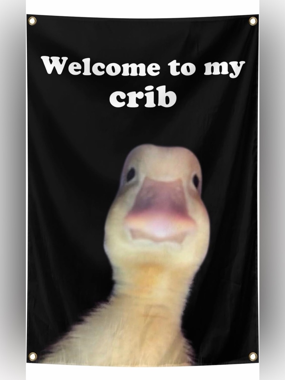 Amazon 2x3 Feet Duck Welcome To my Crib Banner Wall Art